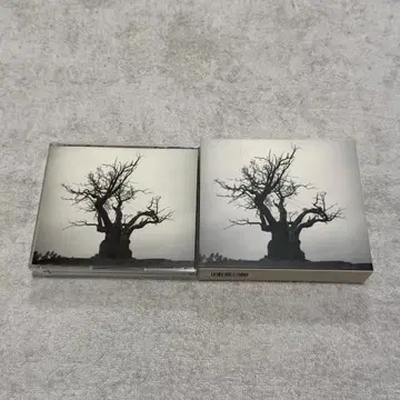 BEST ALBUM [ 2010-2019 ] CD DVD 세트