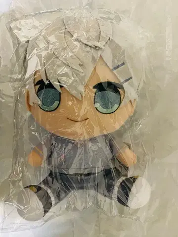 컬러풀 피치 오오키나 BIG 봉제 인형 히로