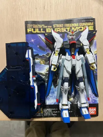 조립 완료 MG 스트라이크 프리덤 건담 풀 버스트 모드 1/100 스케일