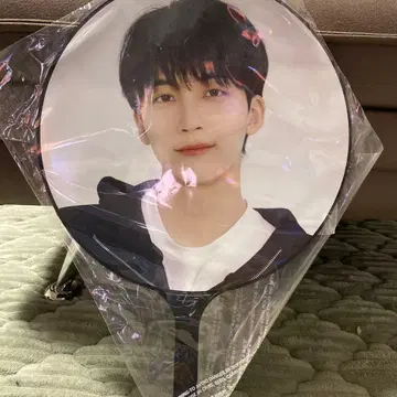 SEVENTEEN 정한 부채