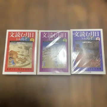 문 읽는 세월 톨스토이 1-3권 세트