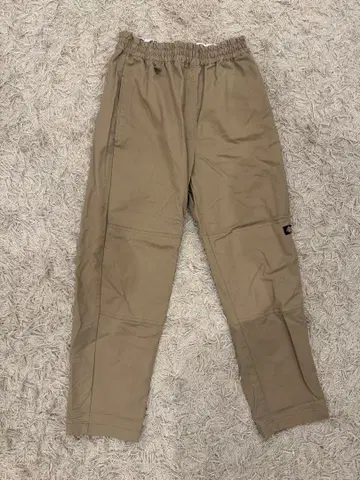 Dickies 이지 팬츠