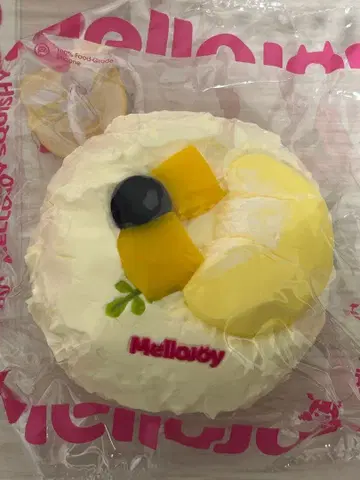 멜로 조이 대복 망고 두리안