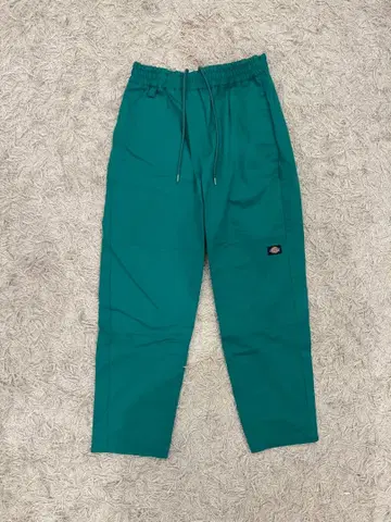 Dickies 이지 팬츠 그린