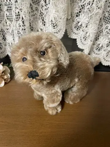 SALE 빈티지 슈타이프 Raudi 라우디