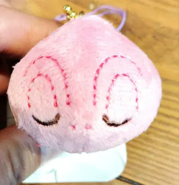 파스칼 코로코로 푸치 디즈니 스토어 라푼젤 미사용품