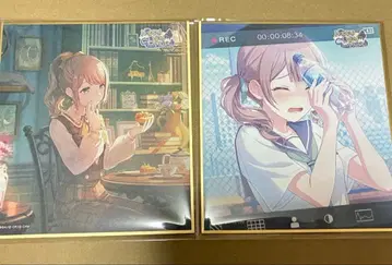 프로세카 52a 색지 호나미 레오니 묶음 판매