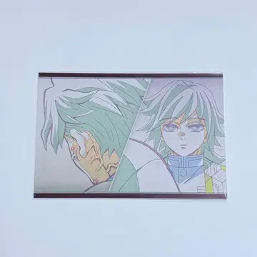 귀멸의 칼날 시나즈가와 사네미 토미오카 기유 나눔 엽서