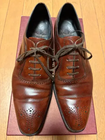 달링턴 REGAL 셔틀랜드 폭스