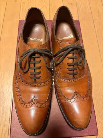 켄싱턴 셰틀랜드 폭스 REGAL