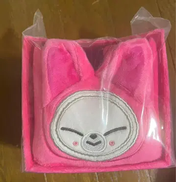 straykids popup 폭시니 수납 박스 미개봉