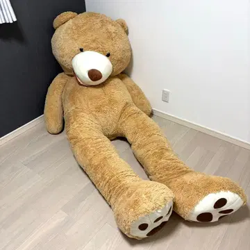 [ 기간 한정 ] 거대 곰 봉제 인형