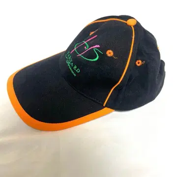 HARVARD 야구 cap 할리 색상 테크 계열 y2k