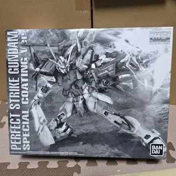 MG PERFECT STRIKE GUNDAM SPECIAL COATING