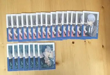 프로세카 아오야기 토야 에피카 24C 23장 세트