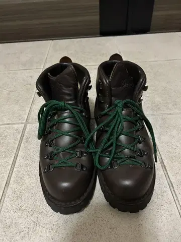 Danner 마운틴 라이트 GORE-TEX 사이즈 8 26cm