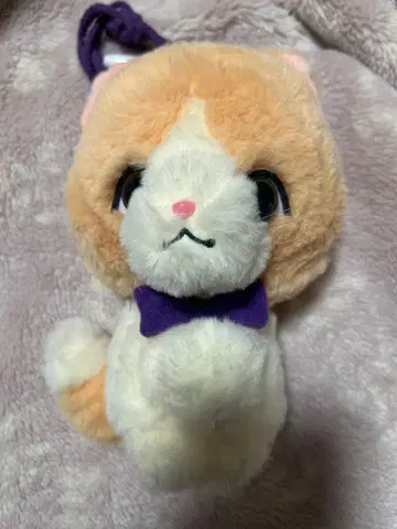 후지와라 이츠키 멘프로