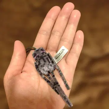 마인크래프트 스트랩