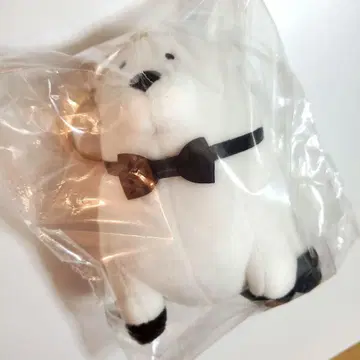 애프터눈 티 스파이 패밀리 본드 키링