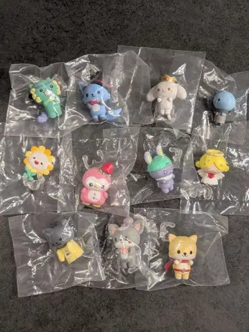 [ 새상품 ] JOCHUM 제오참 나라분데스 11종 컴프