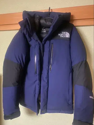 THE NORTH FACE 네이비 다운 자켓