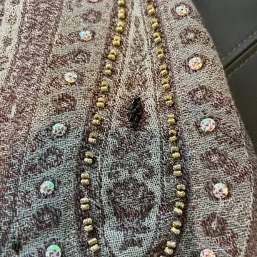 Olive TOPKAPI 탑카피 페이즐리 무늬 스톨