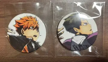 하이큐 히카리 알레 캔뱃지 세트 한정품