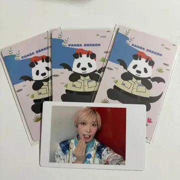 팬더 드래곤 타이거 해피카