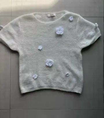 ZARA 꽃 모티브 반팔 니트