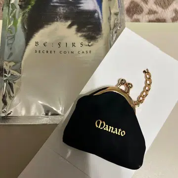 Befirst BE:ST 코인 케이스 MANATO