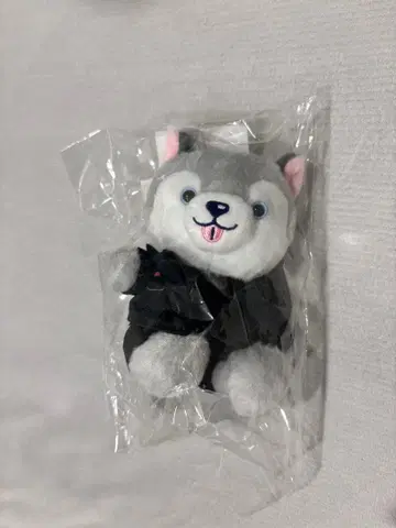 SixTONES 마츠무라 호쿠토 앉은 봉제 인형 토리이누