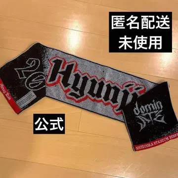 StrayKids 스키즈 에코파 굿즈 머플러 타월 현진