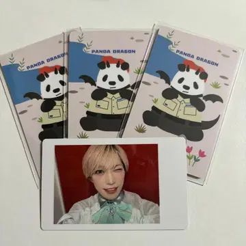 팬더 드래곤 하피카 타이거