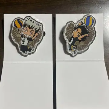 보쿠토 코타로 아카아시 케이지 브로치 컬렉션