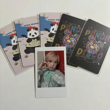 타이가 팬더드래곤 하피카