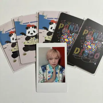 팬더 드래곤 하피카 타이거