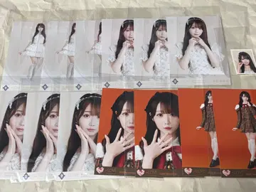 =LOVE 오타니 에미리 브로마이드 세트