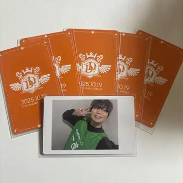 아즈 하피카 모찌모찌 팬더 드래곤