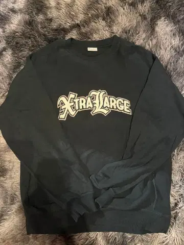 LARGE Champion 맨투맨