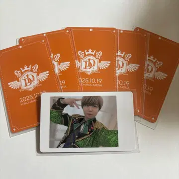 아즈 하피카 파라곤 모찌모찌