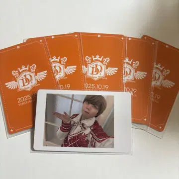 아즈 하피카 파라곤 모찌모찌