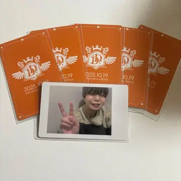 아즈 하피카 파라곤 모찌모찌