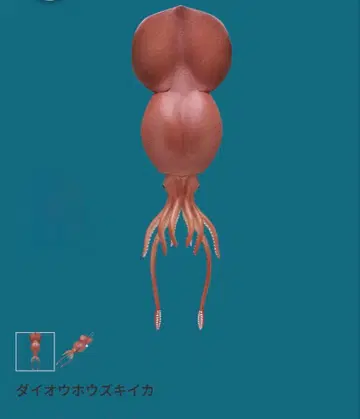 이키몬 가챠 심해 생물 마그넷 & 체인 2 대왕 호박 오징어