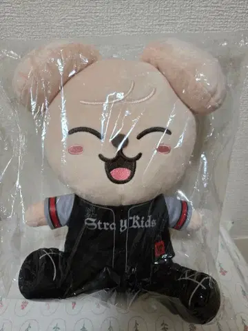 스키즈 승민 봉제 인형 skzoo PuppyM 에코파