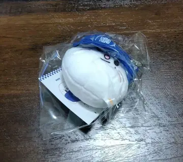 StrayKids KARMA 지니레트 볼캡 키링