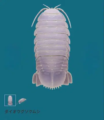 이키몬 가챠 심해 생물 마그넷 & 체인 2 대왕소라게