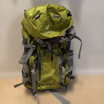 deuter ALPINE 백팩 그린