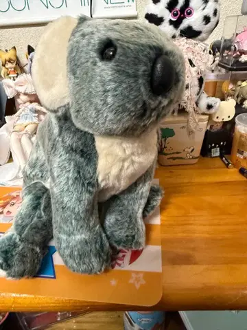 비니 버디즈 코알라