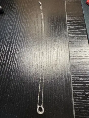 호스슈 실버 925 심퍼시 오브 소울 목걸이