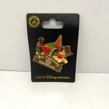 도쿄 디즈니 리조트 빅 썬더 마운틴 핀 배지